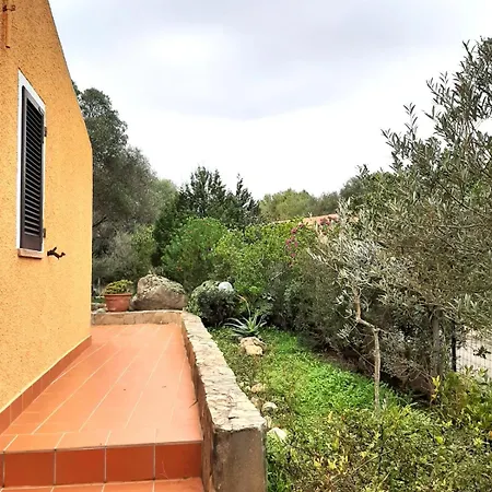 Casa Oasis
