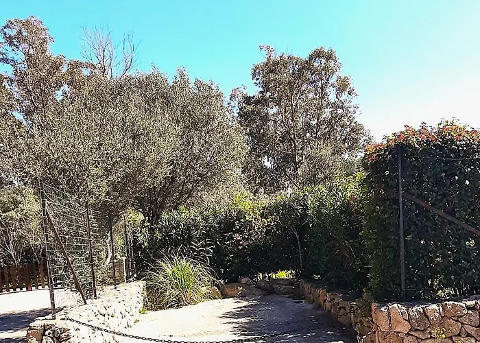 Casa Oasis Ferienhaus